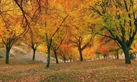 Nagar Khaas Pakistan